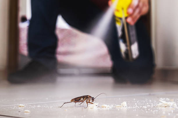 Reliable Edina, MO Pest Control Solutions